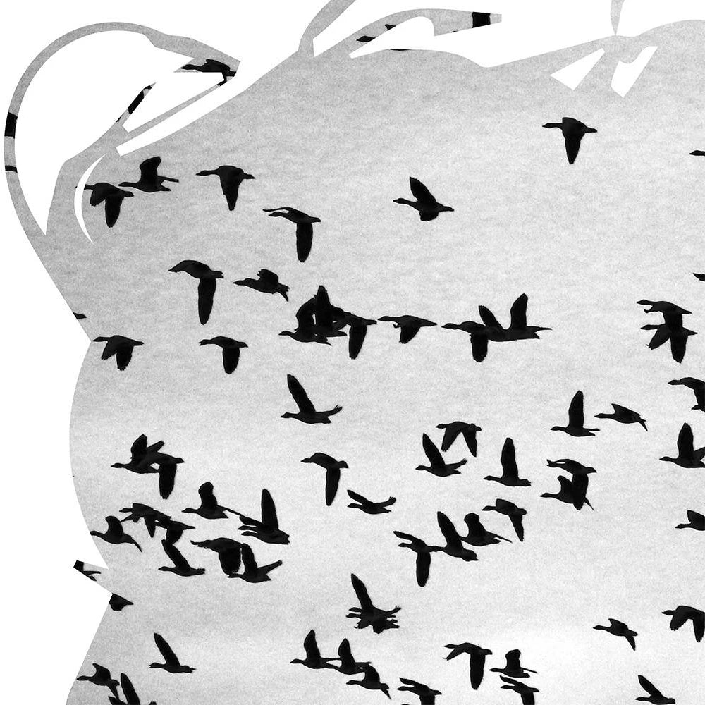 Girl Silhouette Birds Poster