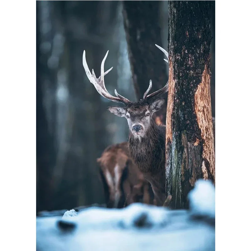 Cute Deer Jungle Canvas