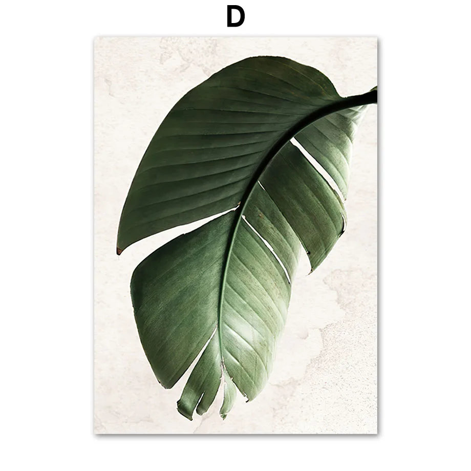 Monstera Botanical Boho Poster