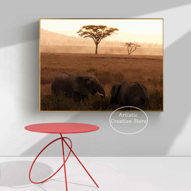 African Elephant Sunset Canvas