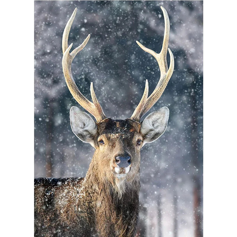 Cute Deer Jungle Canvas