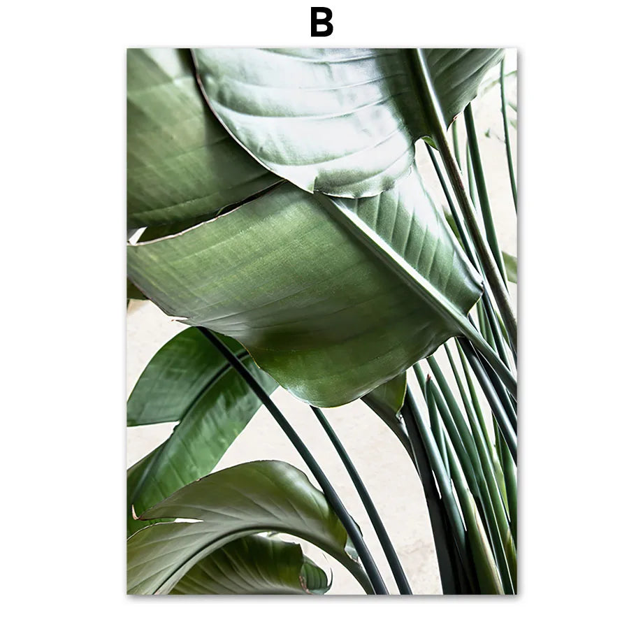 Monstera Botanical Boho Poster