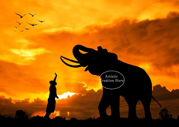 African Elephant Sunset Canvas