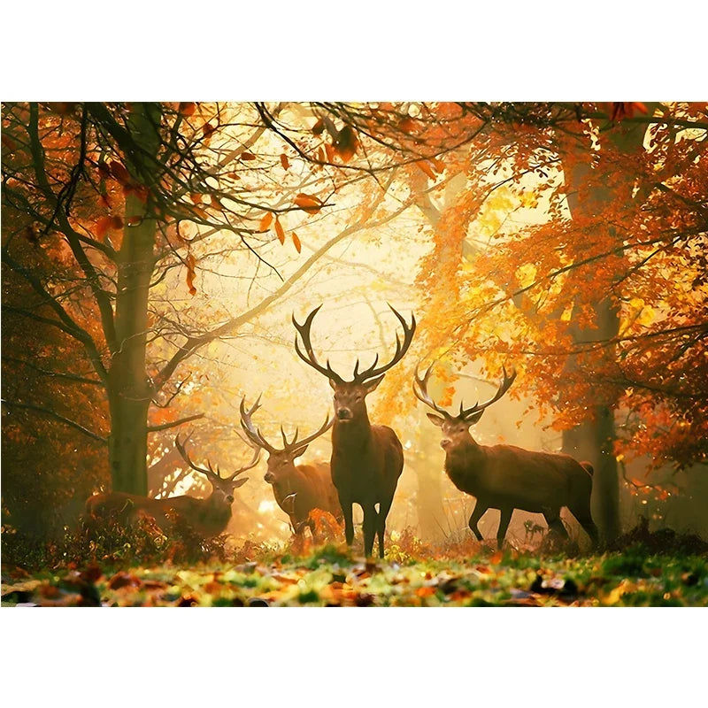 Cute Deer Jungle Canvas