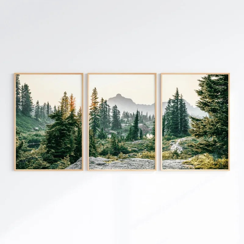 Green Mountain Forest Poster