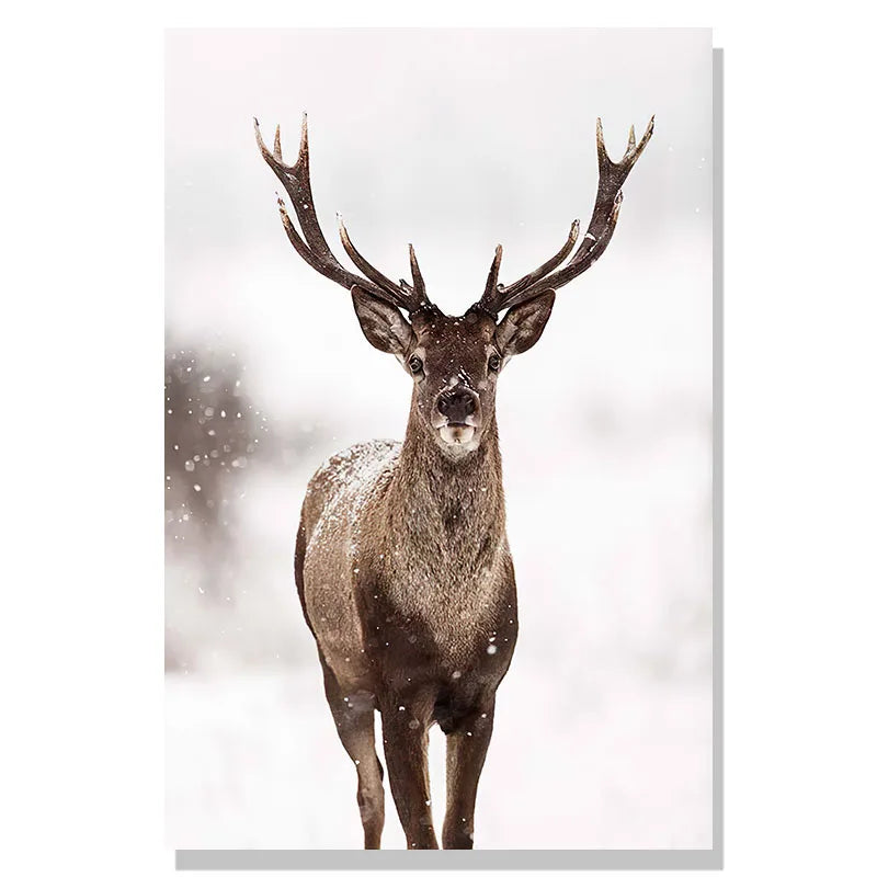 Winter Forest Deer Poster