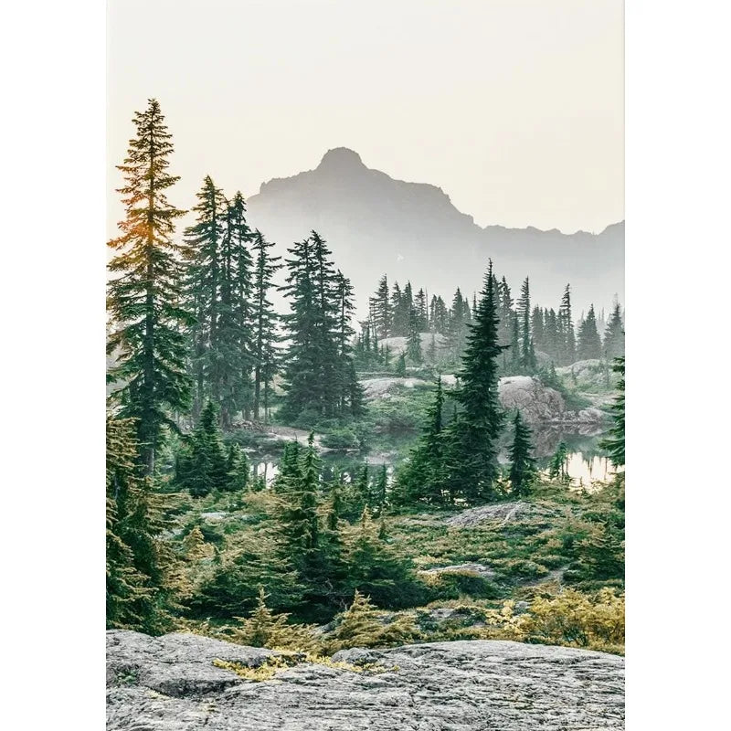 Green Mountain Forest Poster