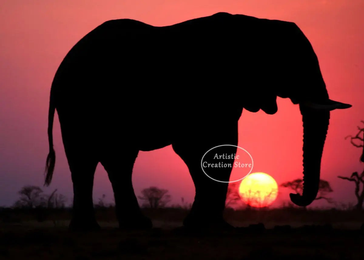 African Elephant Sunset Canvas