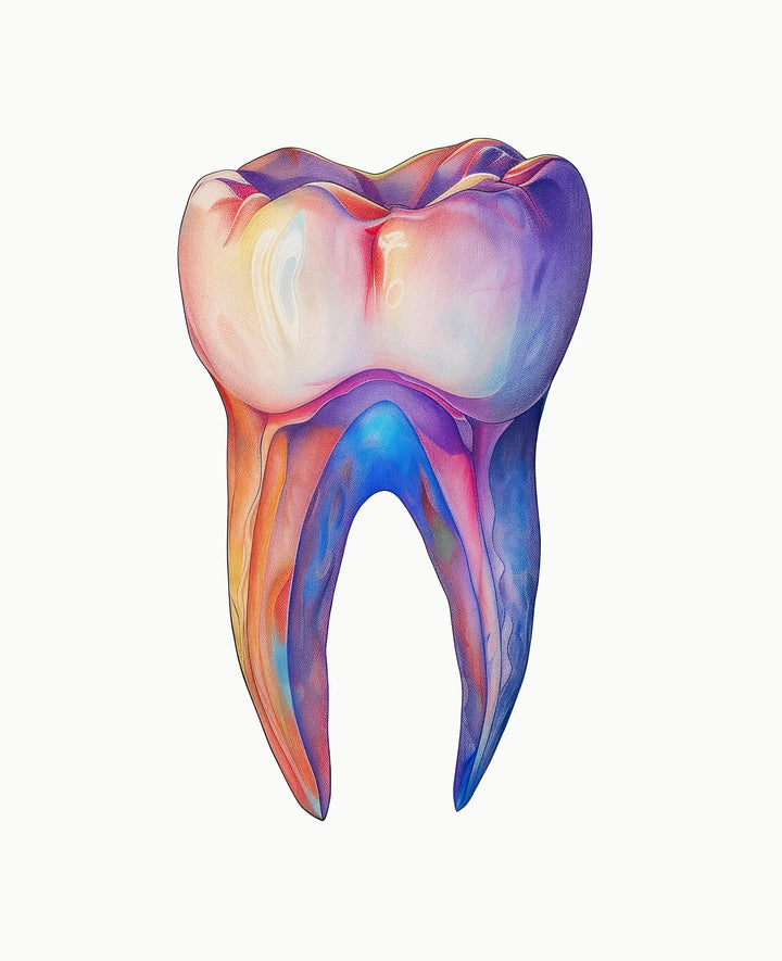 Floral Tooth Art Print