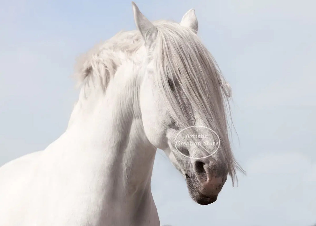 Morocco Sunset Wall Canvas
