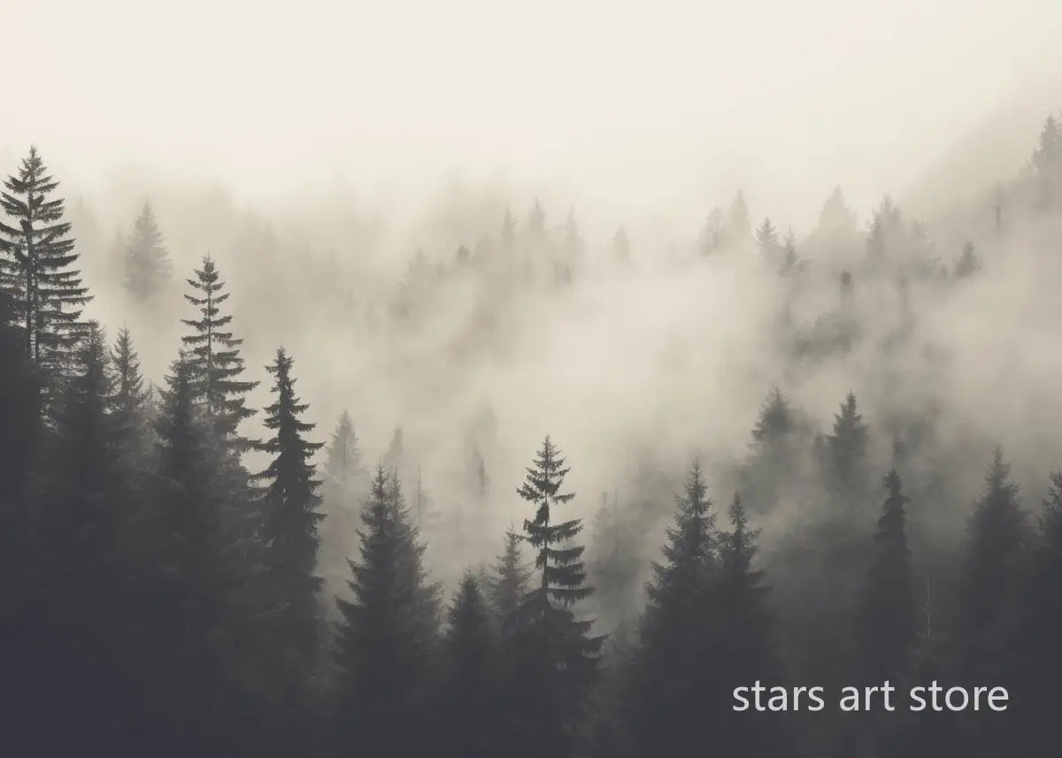 Foggy Forest Waterfall Canvas