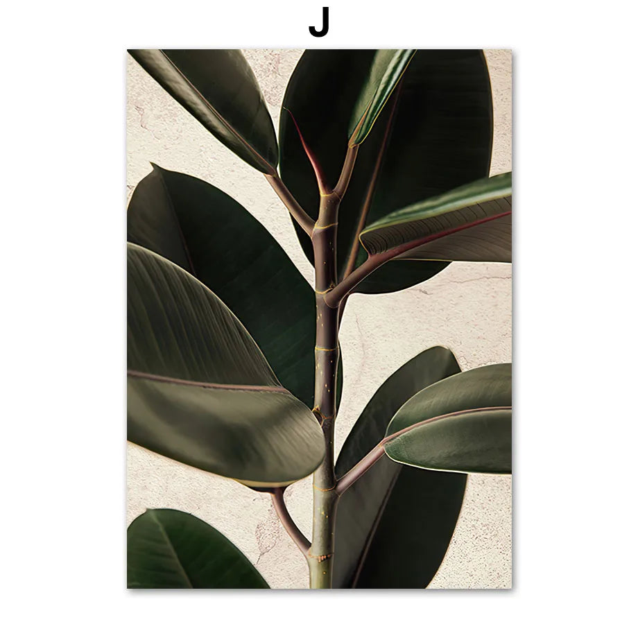 Monstera Botanical Boho Poster