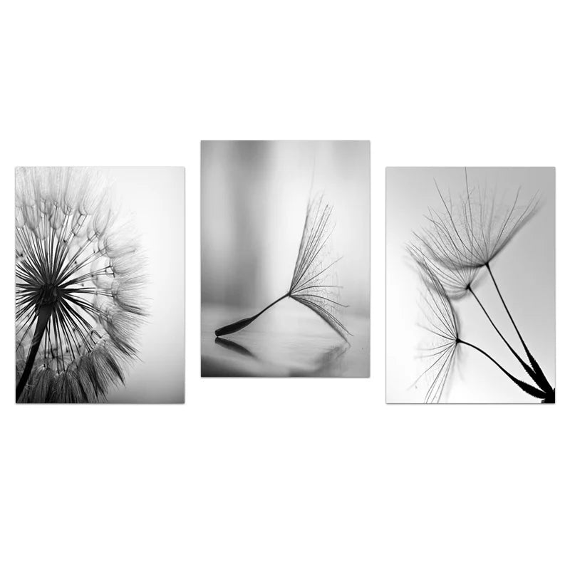 Black White Dandelion Poster