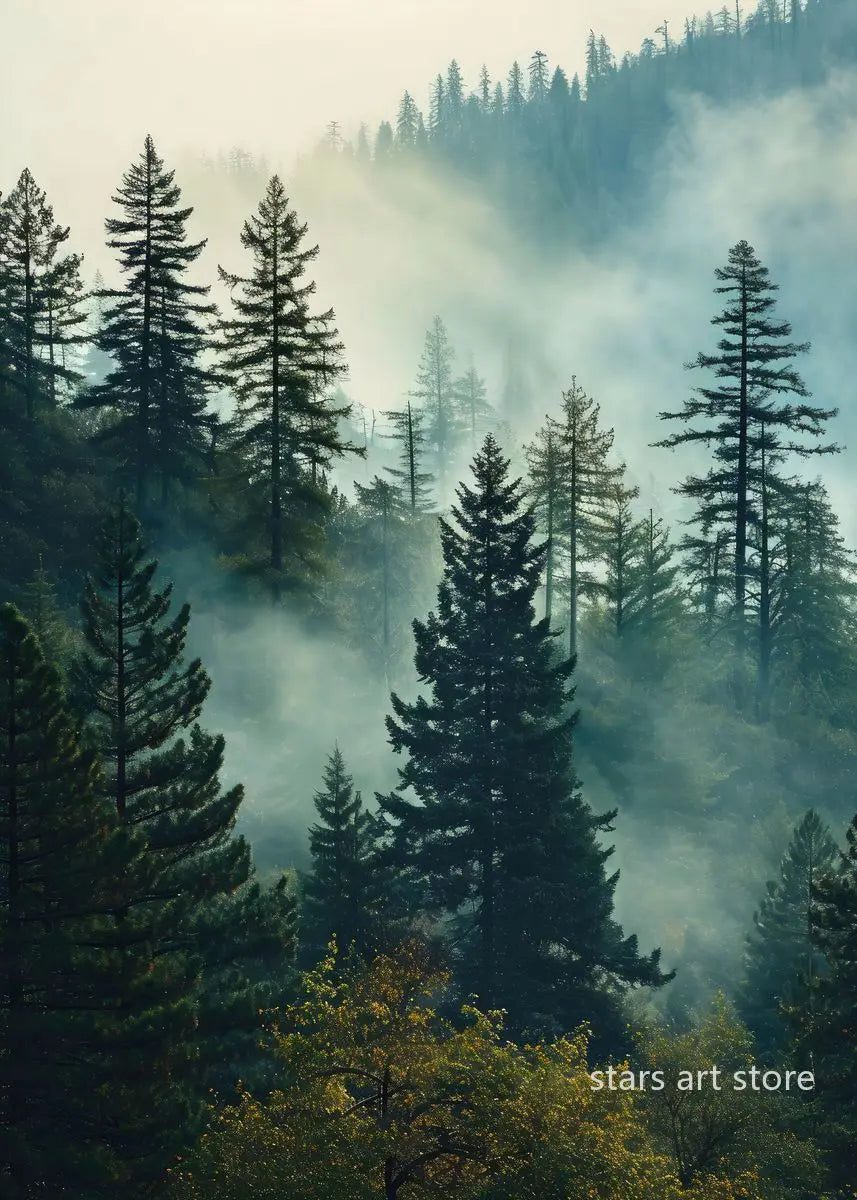 Foggy Forest Waterfall Canvas