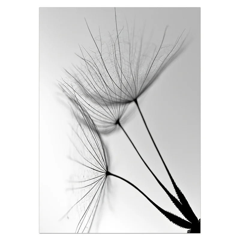 Black White Dandelion Poster