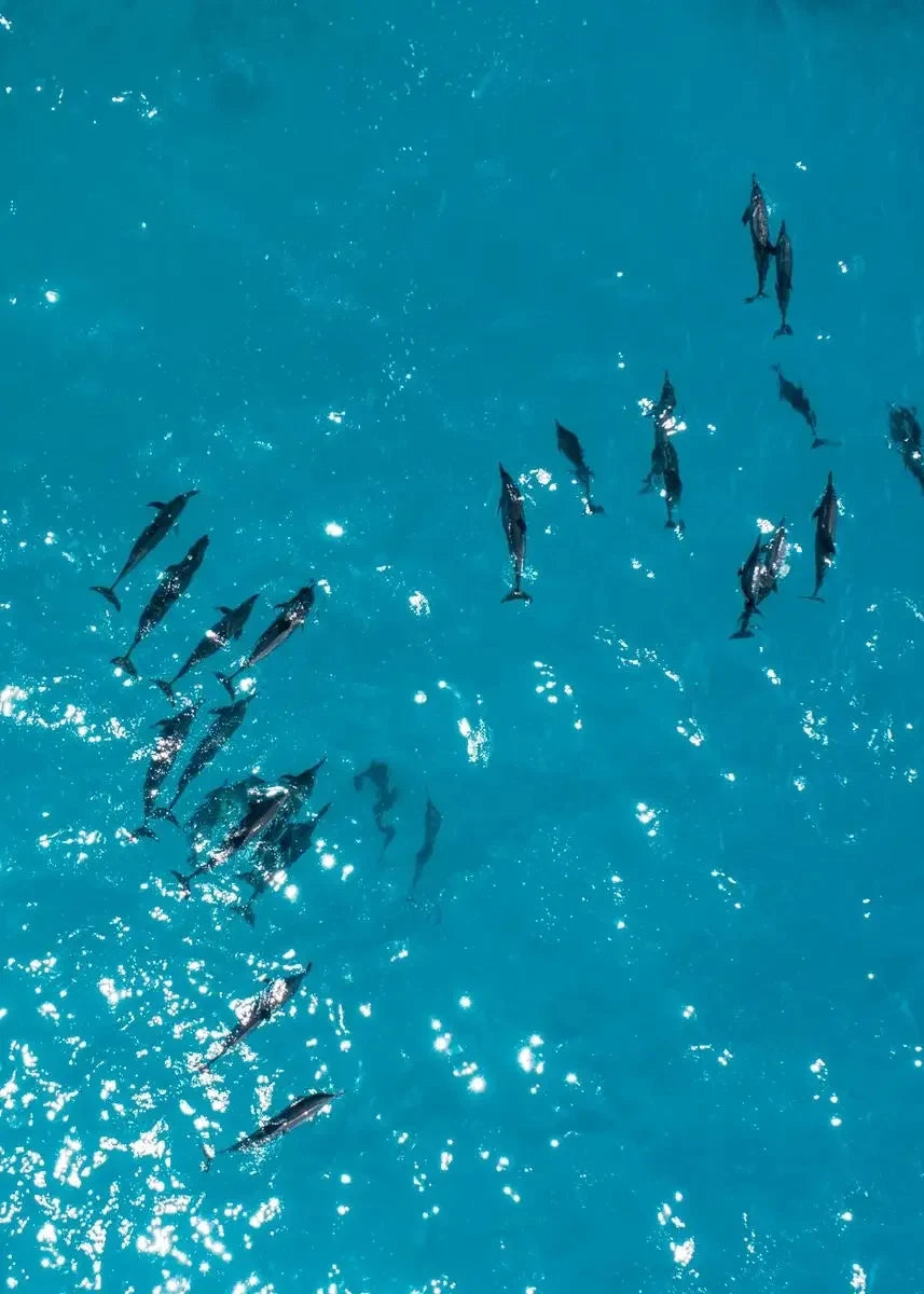 Simple Ocean Beach Canvas