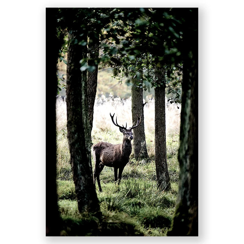 Winter Forest Deer Poster