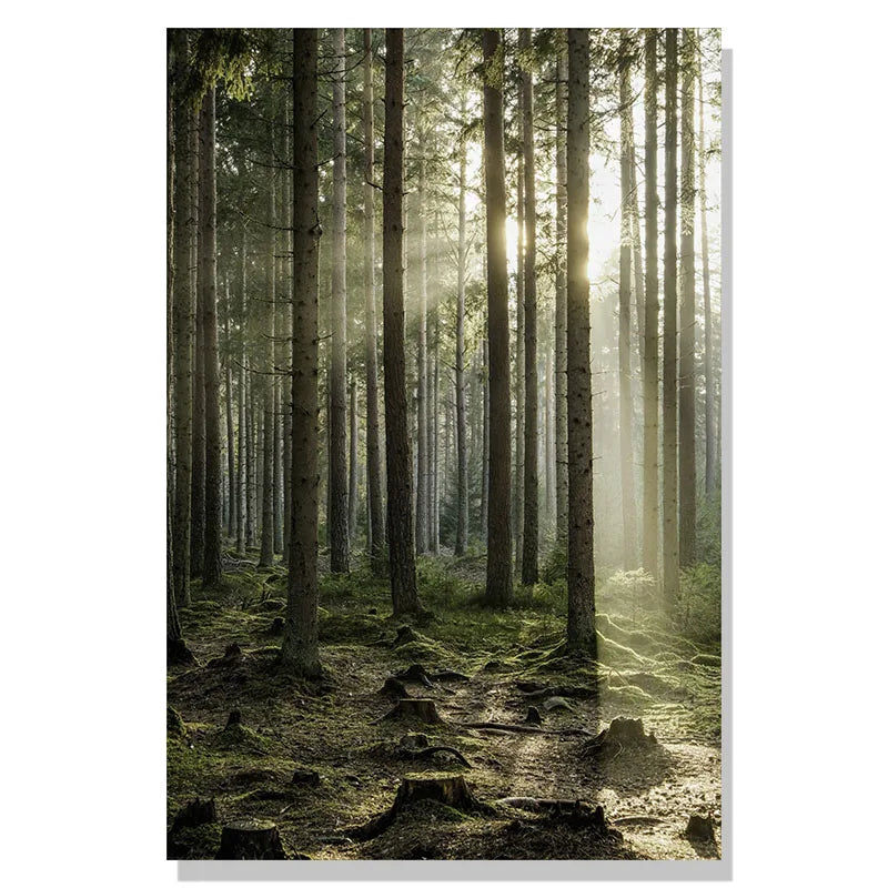 Winter Forest Deer Poster