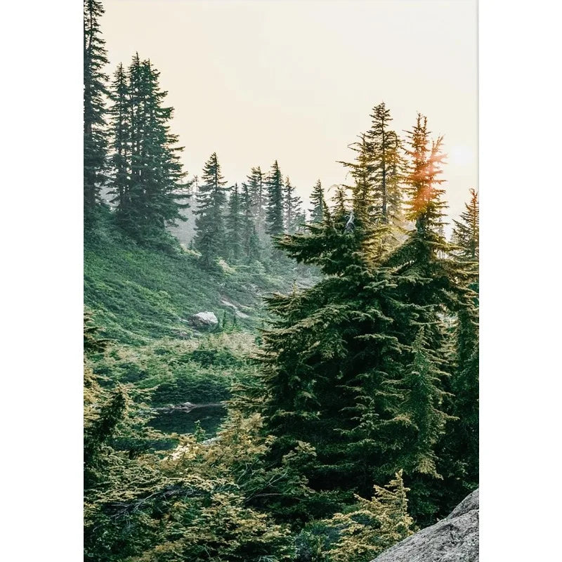 Green Mountain Forest Poster