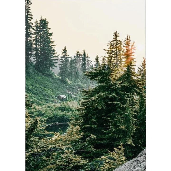 Green Mountain Forest Poster