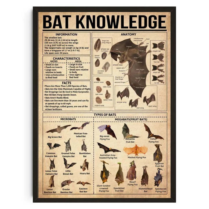 Animal Knowledge Chart Poster