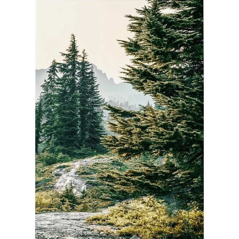 Green Mountain Forest Poster