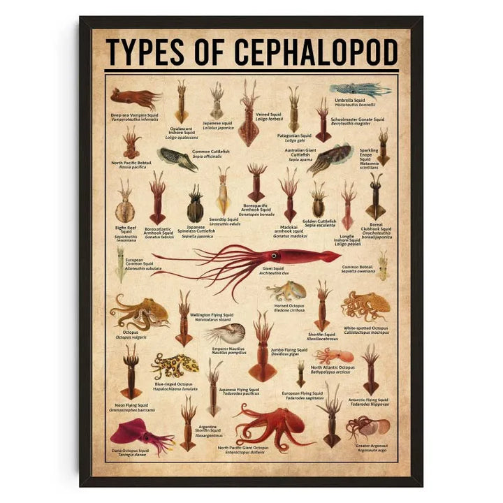 Animal Knowledge Chart Poster