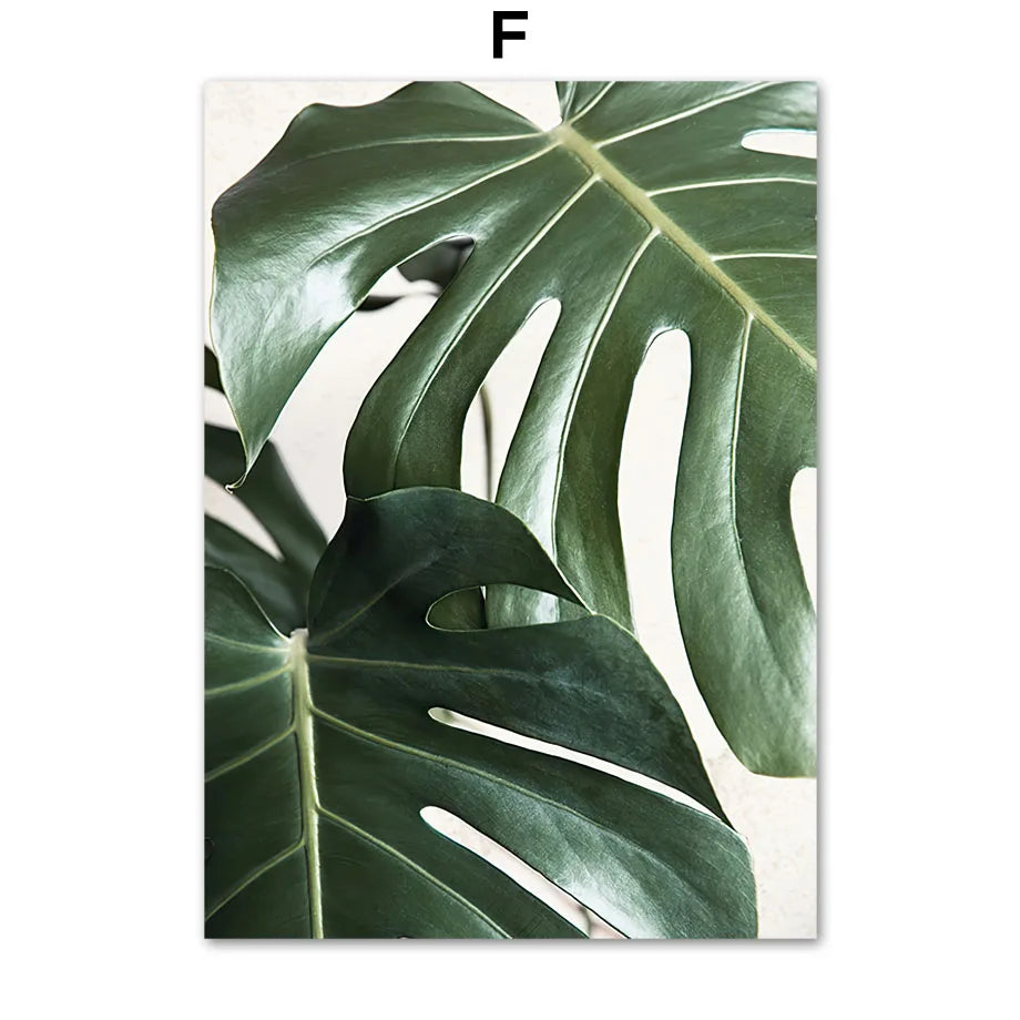 Monstera Botanical Boho Poster
