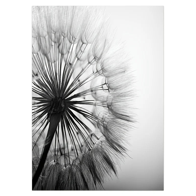 Black White Dandelion Poster