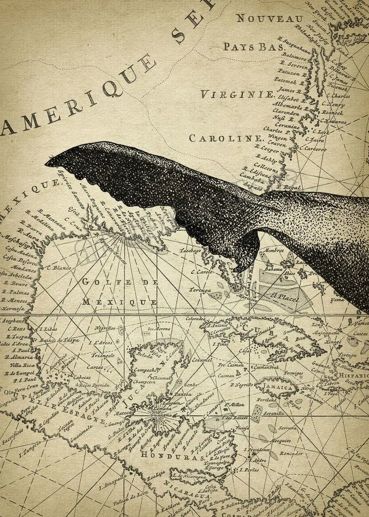 Marine Whale World Map Art
