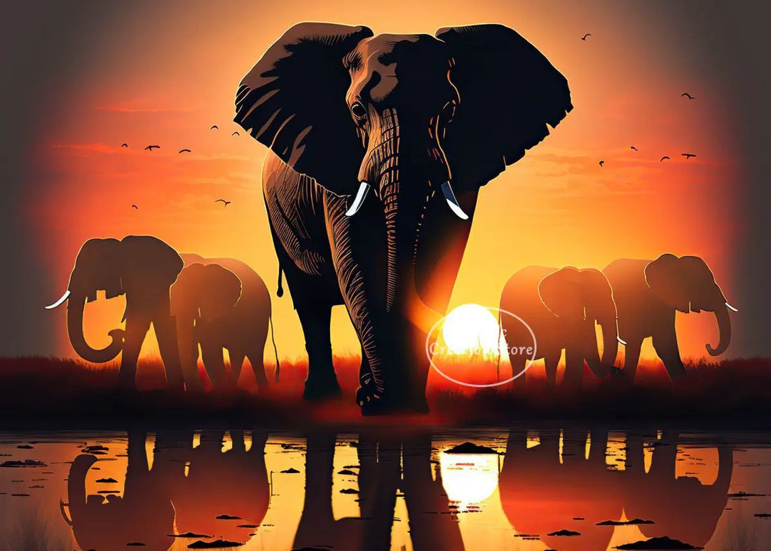 African Elephant Sunset Canvas